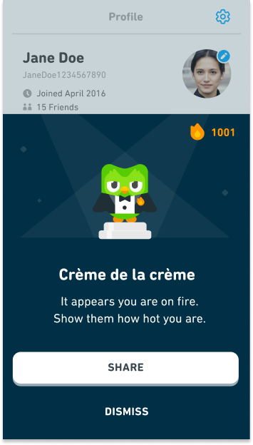 Profile flame modal draft